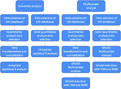 data analysis scheme  scientific diagram
