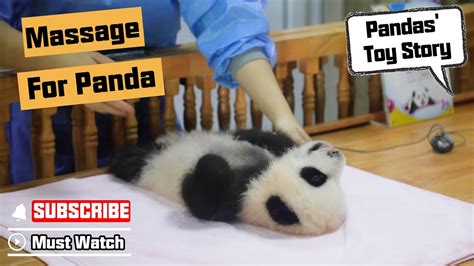 massage therapist  panda ipanda youtube