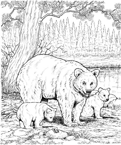 bear gif  bear coloring pages animal coloring books