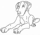 Kleurplaten Honden Kleurplatenwereld sketch template