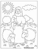 Sheep Verbnow Parable sketch template