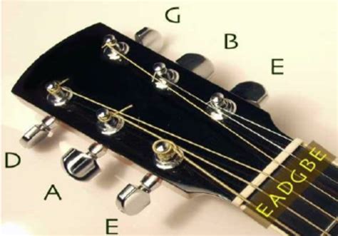 tuning pegs   acoustic guitar  scientific diagram