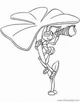 Bug Coloring Pages Life Flik Disneyclips Spying sketch template