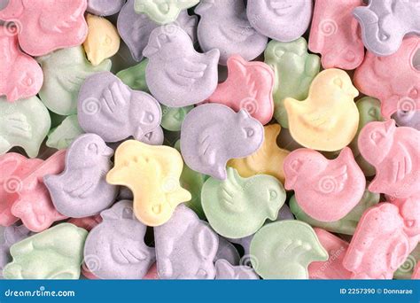 animal shaped easter candy stock photo image
