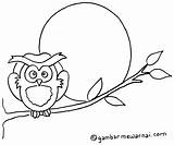 Burung Hantu Mewarnai Hewan Kancil Malam Warnai Kartun Gambarmewarnai Disimpan ストーン Bintang sketch template