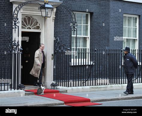 larry  downing street cat sharpens  claws   red carpet laid    meeting