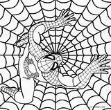 Spiderman Coloring Pages Batman Printable Kids Getdrawings sketch template
