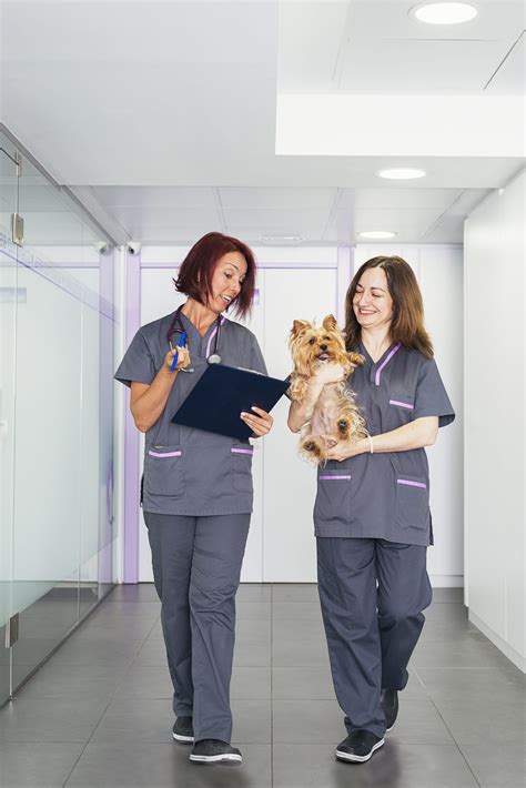 The Rules On Uniforms Veterinary Practice