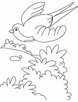 Coloring Flying Bird Swallow Pages Birds Flight Sky Cartoon Clipart Getcolorings Printable Color Library Getdrawings Popular Kids sketch template