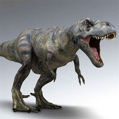 Jurassic Park T Rex 3d Model Dinosauri