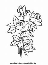 Rosen Blumen Ausmalbild Ausdrucken Ausmalen Malvorlagen sketch template
