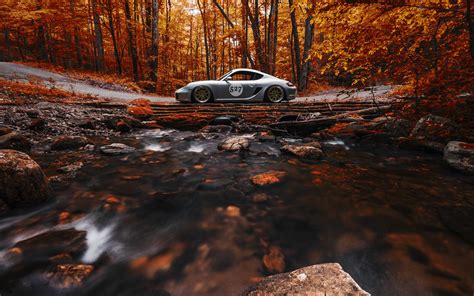 nature car trees forest fall vehicle leaves long
