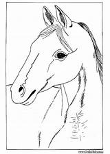 Pferdekopf Ausmalen Colorear Hellokids Caballos Retrato Cavalo Yodibujo Farben Cheval sketch template