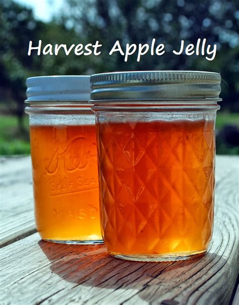 harvest apple jelly   added pectin oak hill homestead