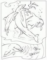 Coloring Pages Dolphins Adults Blue Island Kids Print Popular Coloringhome sketch template