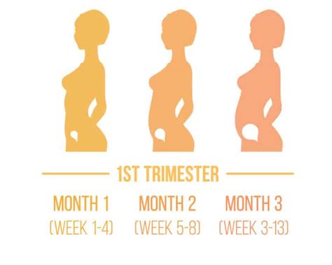 symptoms   week pregnant   entire  trimester regency