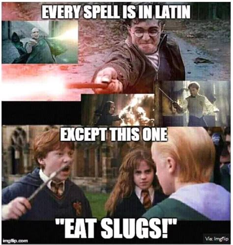 what s your favorite spell then 😂 👉follow me wizardpost s for more clips and pics