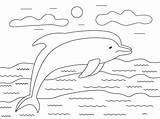 Dolphin Coloring Swims Beaked sketch template