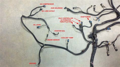 vortec  wiring harness info