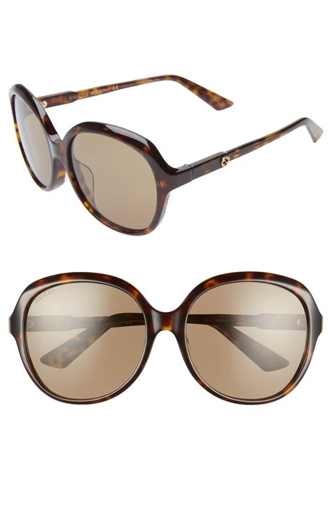 gucci 58mm round sunglasses havana solid brown in brown lyst