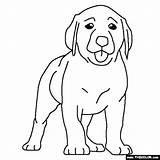 Labrador Coloring Puppy Lab Dog Pages Dogs Drawing Puppies Chocolate Color Thecolor Sheets Colouring Kids Line Getdrawings Animal Books Choose sketch template