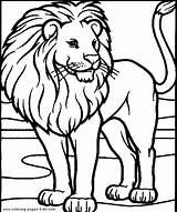 Lion Coloring Pages Animal Color Tiger Printable Kids Lions Sheets Found Tigers sketch template