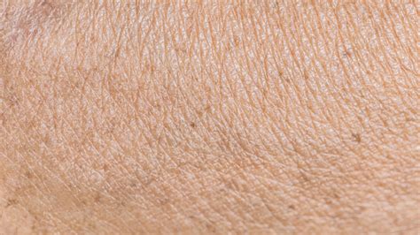 texture wrinkled   human skin fotografie stock  altre immagini