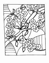 Colorat Disegni Primavara Toamna Chinois Japan Blossoms Colorare Colouring Planse Inflorit Colorier Copaci Infloriti Ume Chine Zeichnen Cires Cerisier Coloriages sketch template