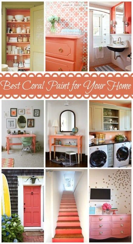 bst coral paint colors   home  expert