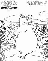 Madagascar Colorat Nilpferd Hippo sketch template