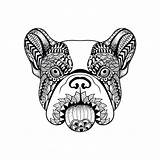 Bulldog Face French Dog Zentangle Doodle Drawn Georgia Stylized Hand Illustration Ve Vector Stock Bulldogs Coloring Drawings Pages Animal Clipartmag sketch template