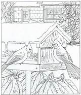 Kleurplaat Natuur Feeder Kleurplaten Cardinals Rund Natur Ums Colorier Rondom Volwassenen Maison Oiseaux sketch template