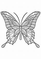 Schmetterling Papillon Schmetterlinge Colorare Adultos Erwachsene Insetti Tiere Insectos Adulti Mariposas Malvorlagen Insects Malvorlage Papillons Motifs Mandalas Insekten Waldtiere Insectes sketch template