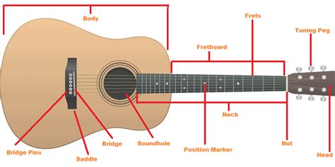 parts   acoustic guitar     stringvibe