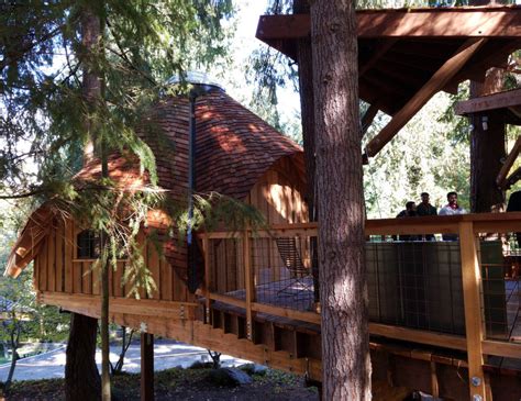 Microsoft Constructed A New Tree House Meeting Spaces For