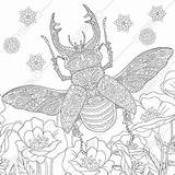 Coloring Beetle Stag Pages Adult Book Drawn Hand Zentangle Antistress Animal Tattoo Deer Vector Adults sketch template