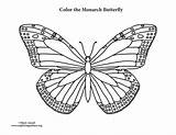 Butterfly Monarch Coloring Pages Drawing Line Outline Printable Getcolorings Color Print Getdrawings Paintingvalley Popular Sheets sketch template