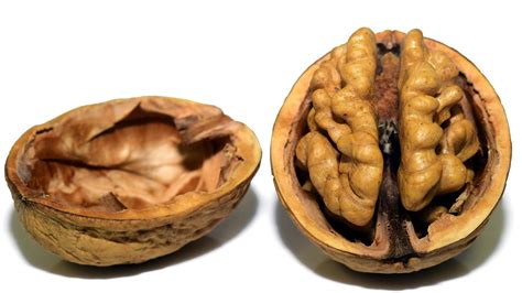 health benefits  walnuts