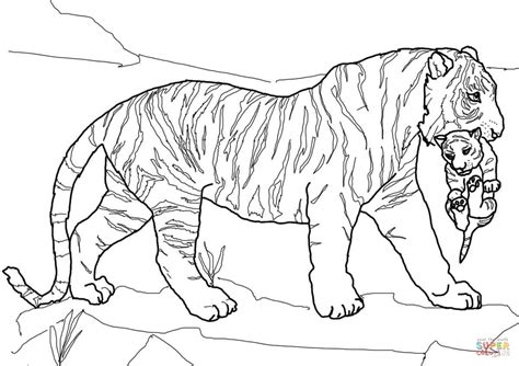 coloring pages tiger cubs coloring home