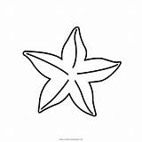 Estrella Colorare Seestern Ausmalbilder Ausmalen Marina Malvorlage Stelle sketch template