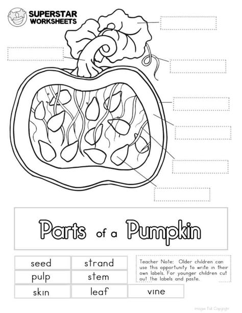 pumpkin worksheet superstar worksheets