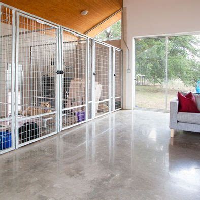 built  dog kennel dog boarding kennels indoor dog kennel dog kennel designs