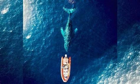 astonishing photographs   flying drones page  science az drone