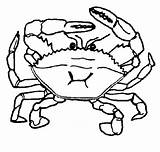 Crab Rac Desene Colorat Krab Kolorowanki Crabe Dzieci Insecte Planse Coloriages Crabs Animaux Racul Imaginea Educatia Conteaza Tepos sketch template