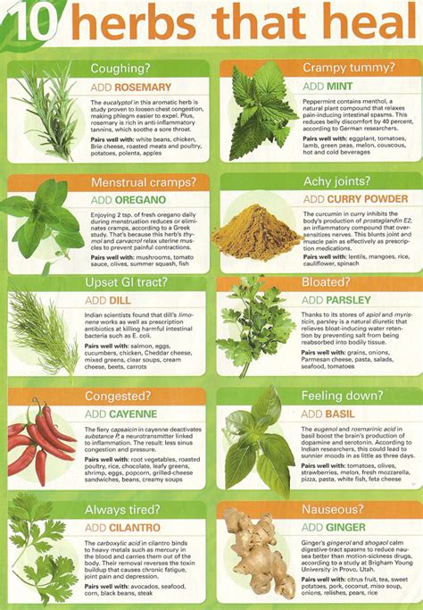 herbs  heal  prepared page