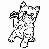 Kucing Sketsa Coloritura Gatto Coloration Bambino Anak Tk Gattino Berjabat Lucu Sindunesia Manusia sketch template