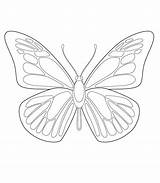 Coloring Morpho Schmetterlinge Borboletas Schmetterling Borboleta Ausdrucken Getcolorings Mariposas Monarch Sponsored Ditt Barnet sketch template
