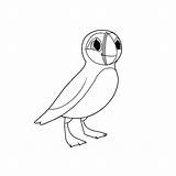 Puffin Coloring Pages Getcolorings Color Getdrawings sketch template