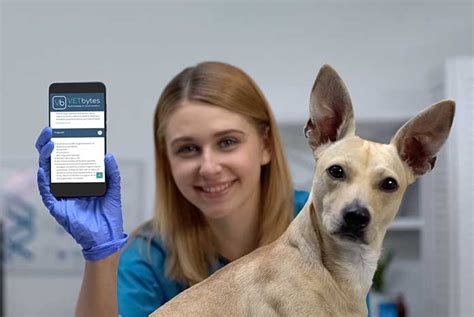 app  access  latest veterinary evidence vetnurse news