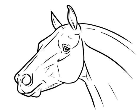 animal coloring book pages google search horse head drawing horse